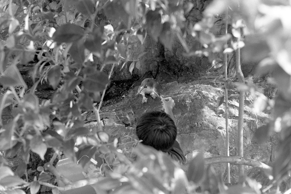 f:id:aremo-koremo:20200918155247j:plain f:id:aremo-koremo:20200918155247j:plain