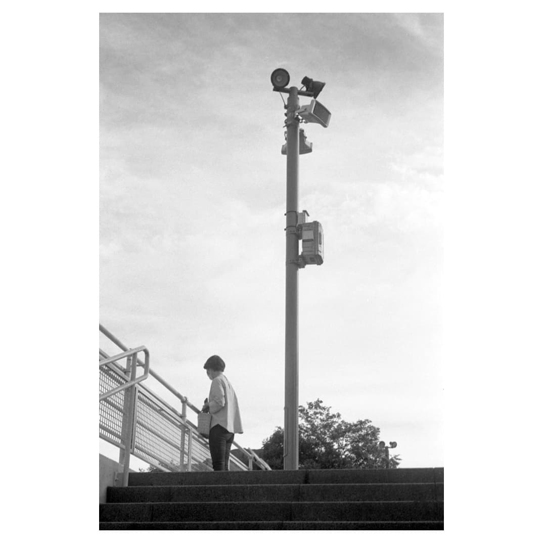 f:id:aremo-koremo:20200918155702j:plain f:id:aremo-koremo:20200918155702j:plain