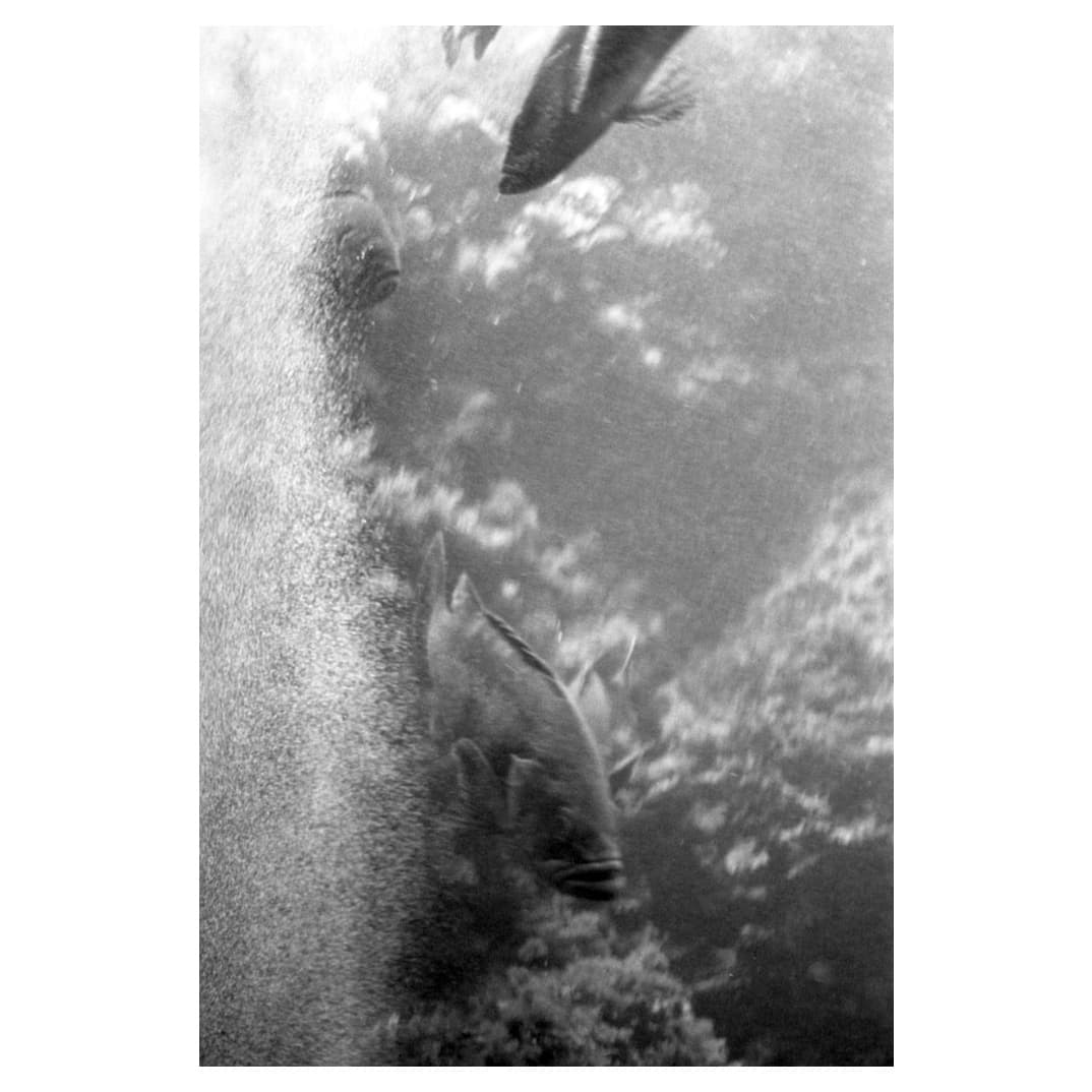 f:id:aremo-koremo:20200918155842j:plain f:id:aremo-koremo:20200918155842j:plain