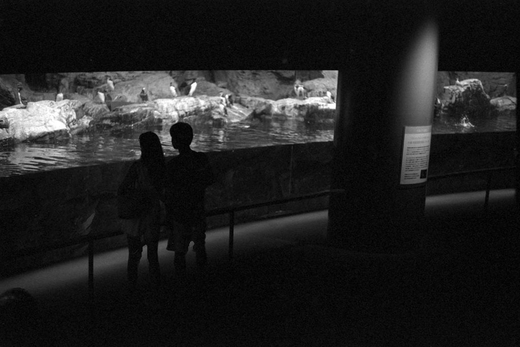 f:id:aremo-koremo:20200918160014j:plain f:id:aremo-koremo:20200918160014j:plain