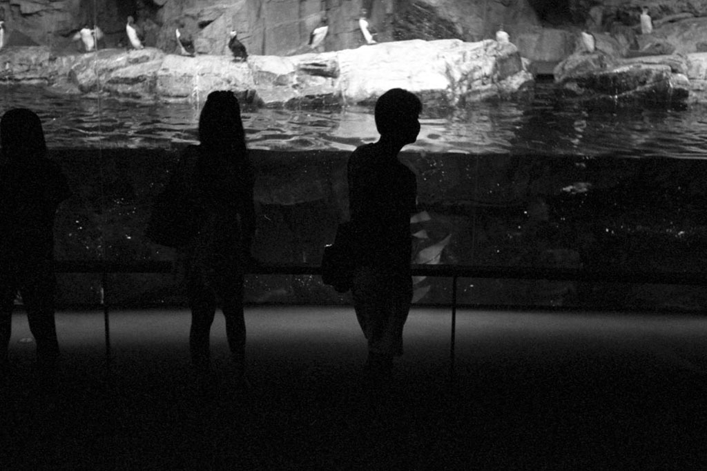 f:id:aremo-koremo:20200918160133j:plain f:id:aremo-koremo:20200918160133j:plain