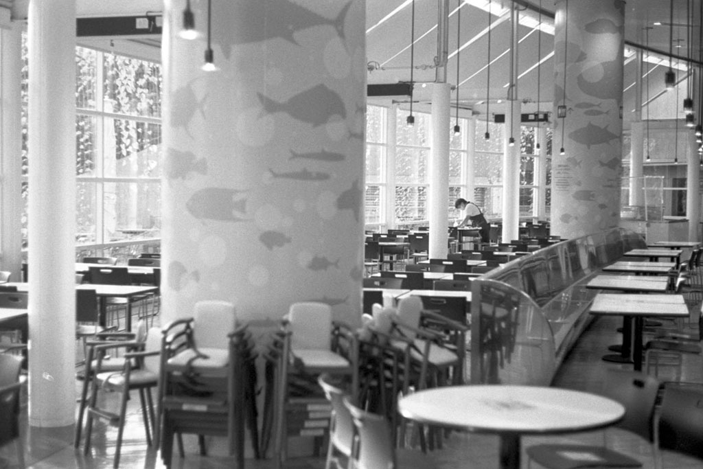 f:id:aremo-koremo:20200918160242j:plain f:id:aremo-koremo:20200918160242j:plain