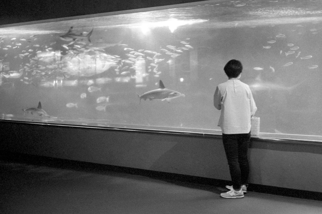 f:id:aremo-koremo:20200918160409j:plain f:id:aremo-koremo:20200918160409j:plain