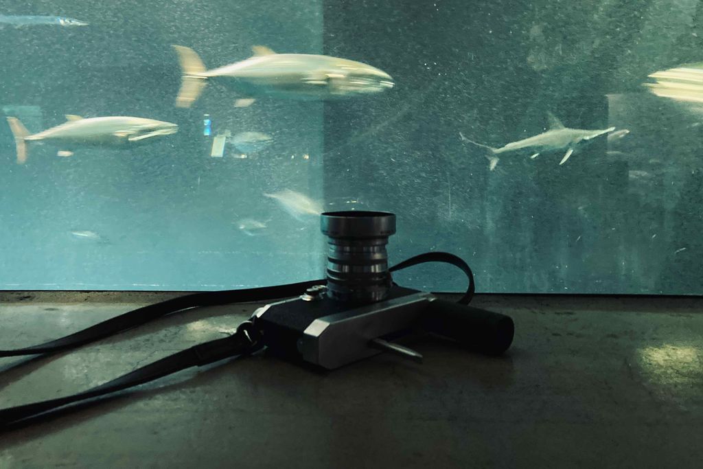 f:id:aremo-koremo:20200918161246j:plain f:id:aremo-koremo:20200918161246j:plain