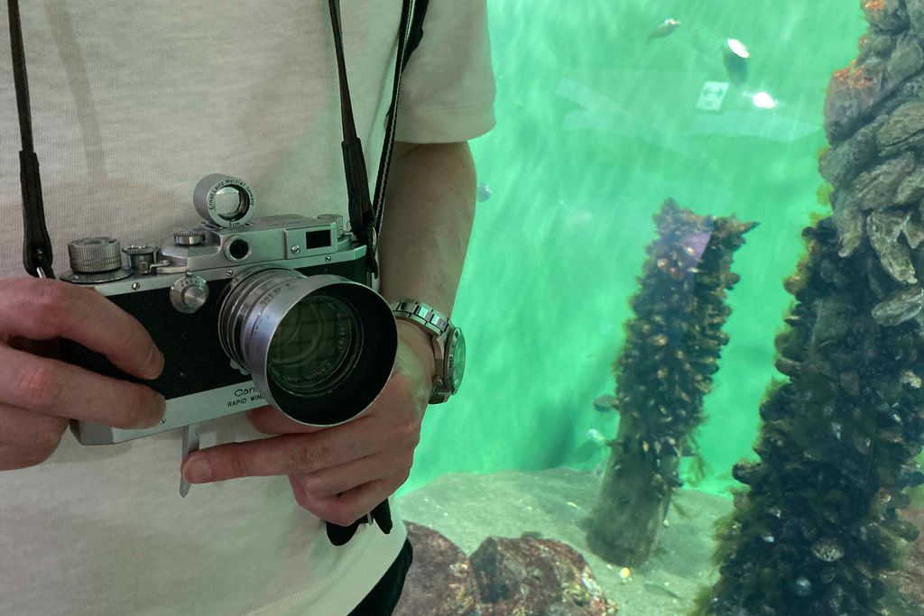 f:id:aremo-koremo:20200918162552j:plain f:id:aremo-koremo:20200918162552j:plain