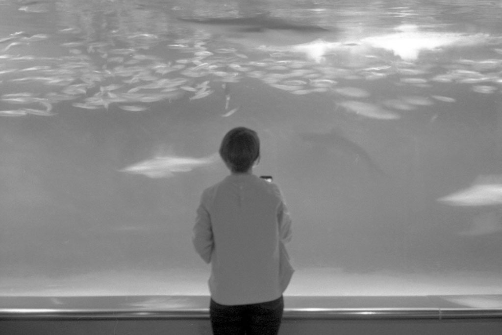 f:id:aremo-koremo:20200918213933j:plain f:id:aremo-koremo:20200918213933j:plain