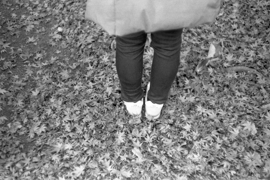 f:id:aremo-koremo:20201224032757j:plain