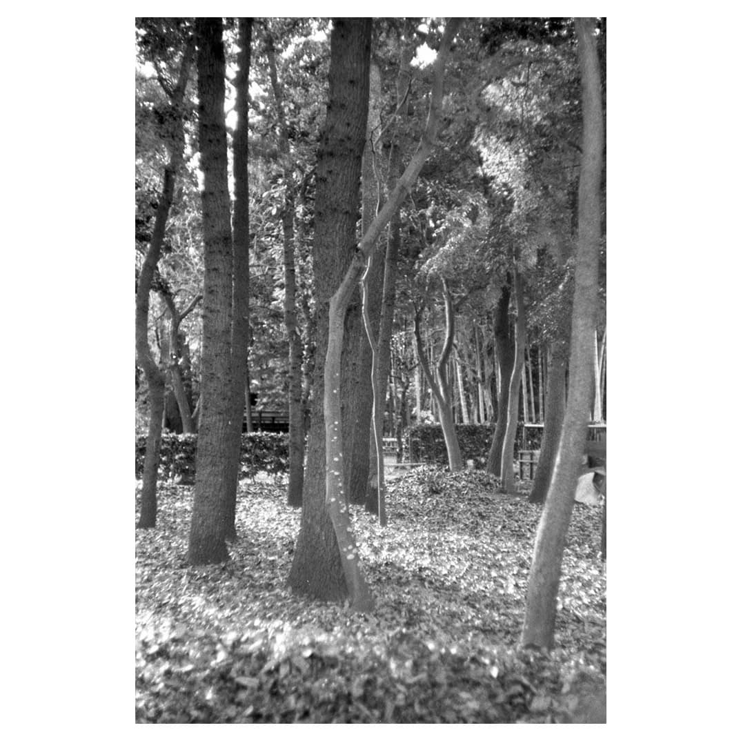 f:id:aremo-koremo:20201224163416j:plain