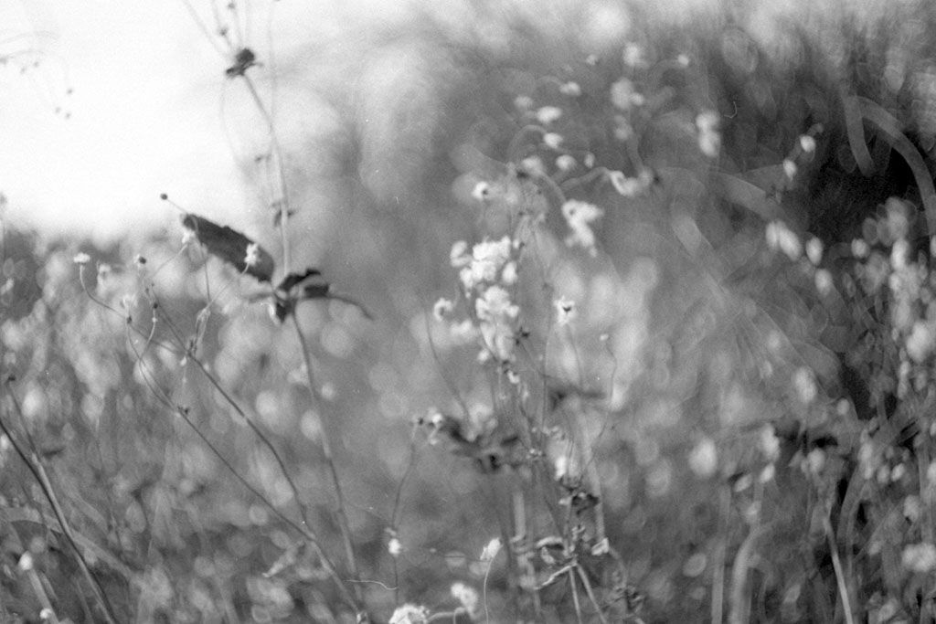 f:id:aremo-koremo:20201224163626j:plain