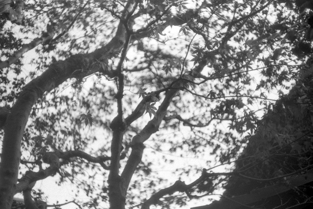 f:id:aremo-koremo:20201224171412j:plain