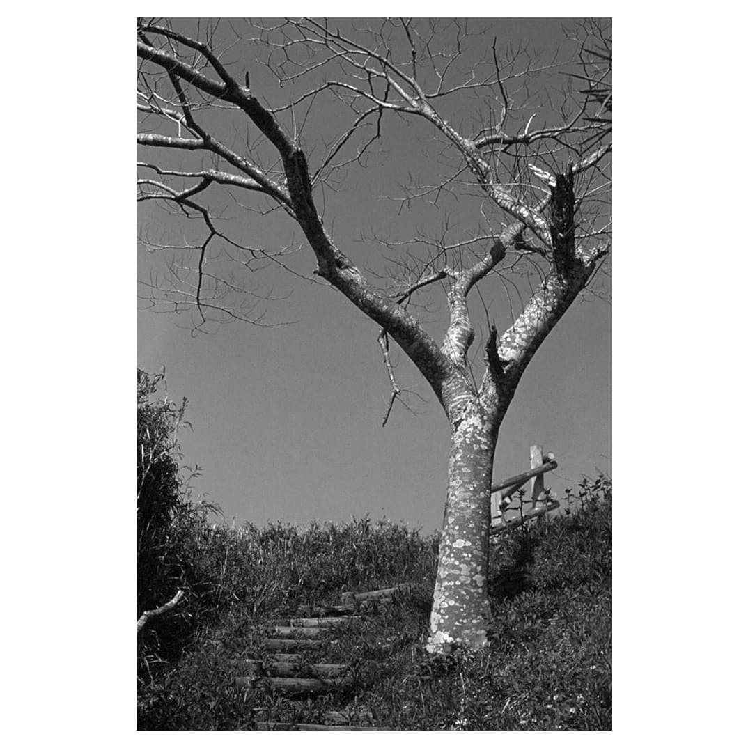 f:id:aremo-koremo:20210418120442j:plain