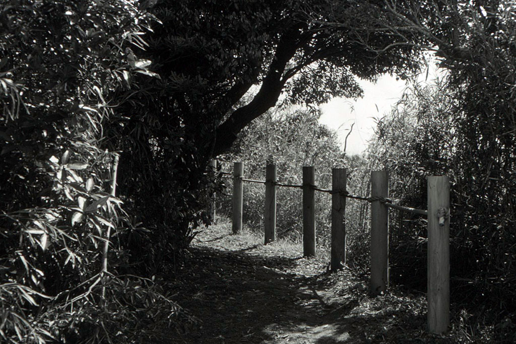 f:id:aremo-koremo:20210423030152j:plain