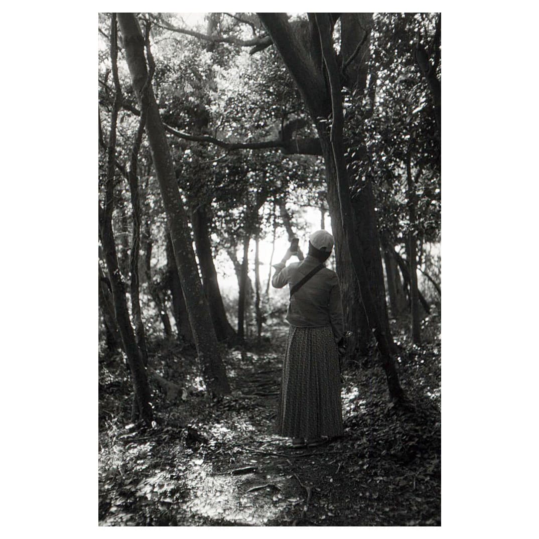 f:id:aremo-koremo:20210423031608j:plain