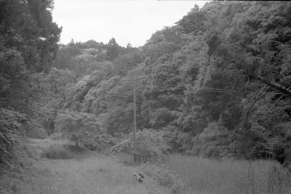 f:id:aremo-koremo:20210525161630j:plain