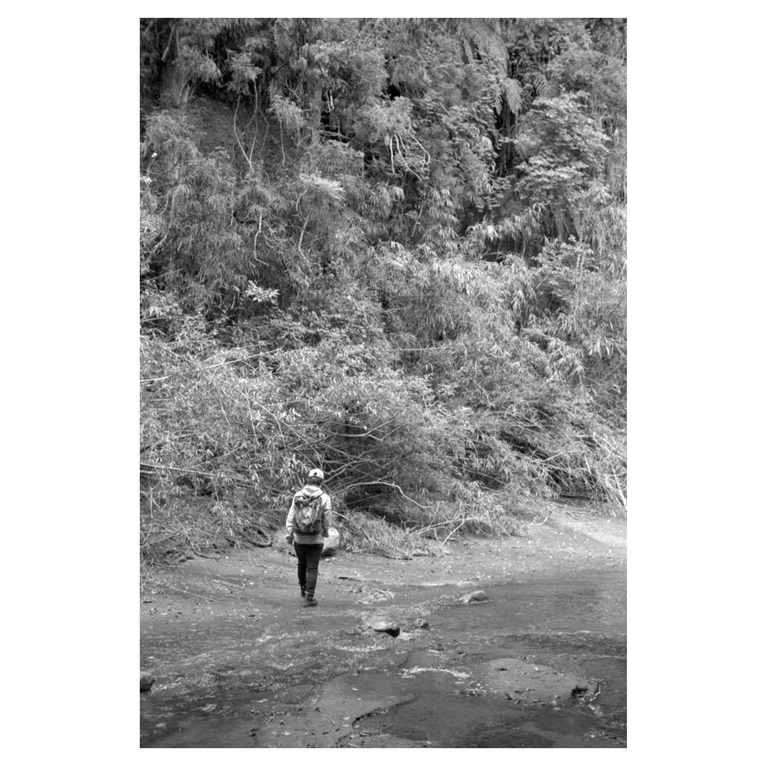 f:id:aremo-koremo:20210525174919j:plain