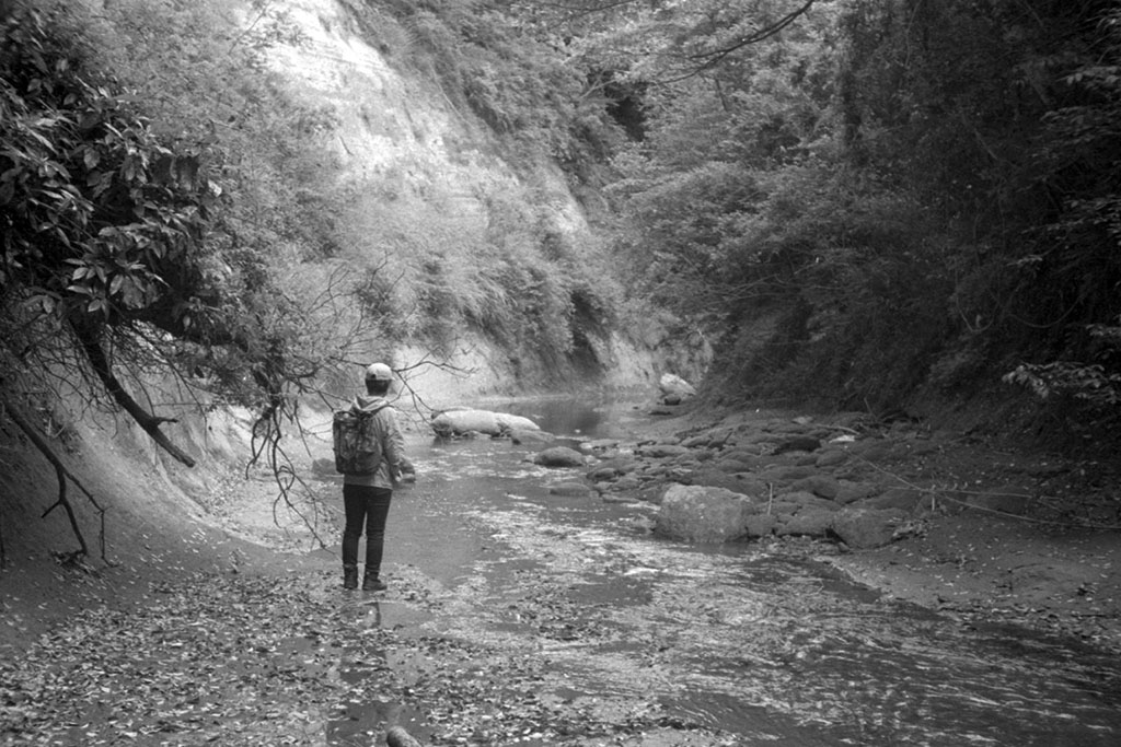 f:id:aremo-koremo:20210525175014j:plain