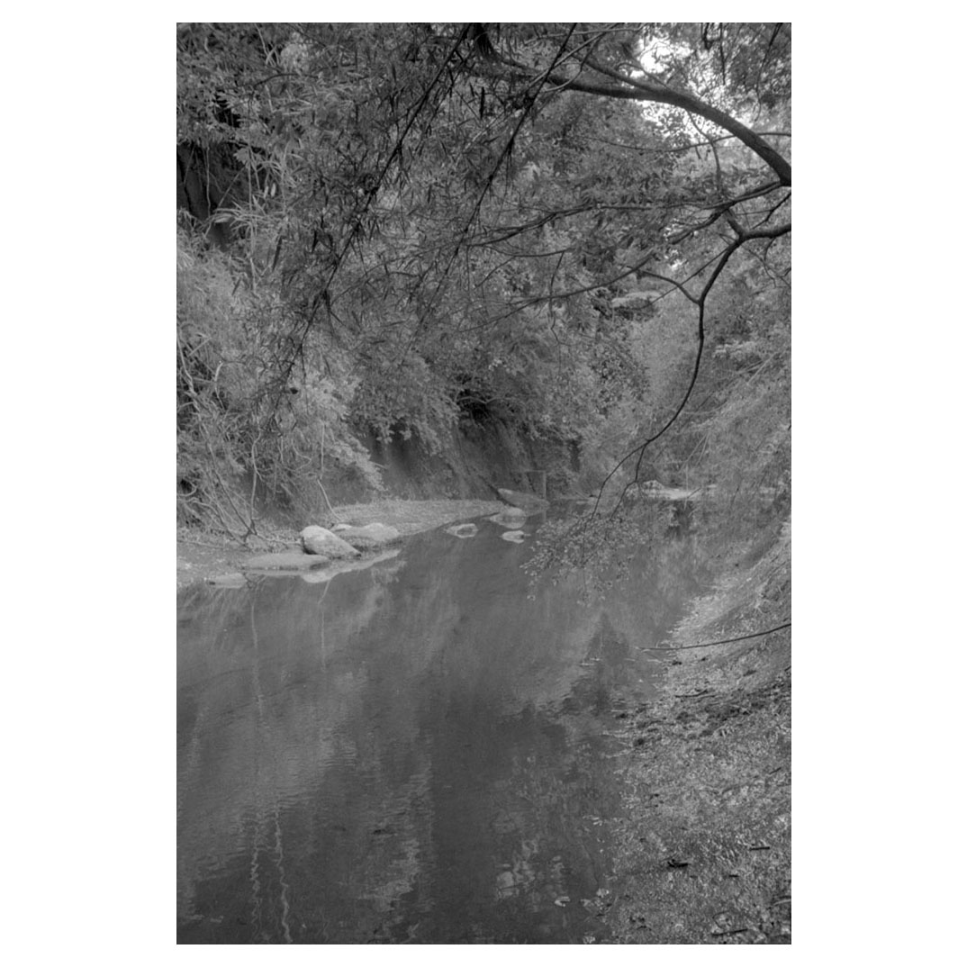 f:id:aremo-koremo:20210525175621j:plain