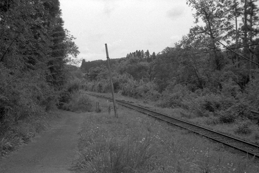 f:id:aremo-koremo:20210525180238j:plain