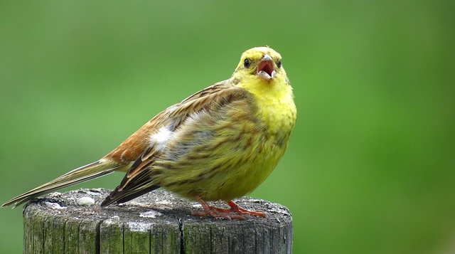 f:id:article23:20210914231806j:plain