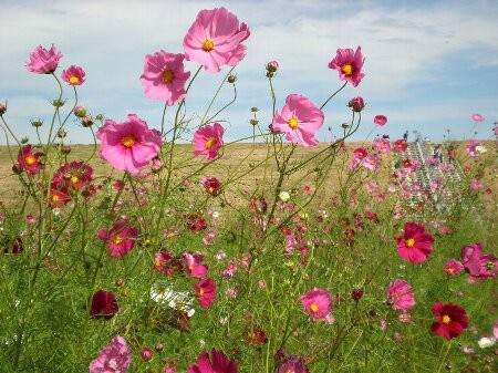 f:id:beatle001:20081013064017j:image f:id:beatle001:20081013064017j:image