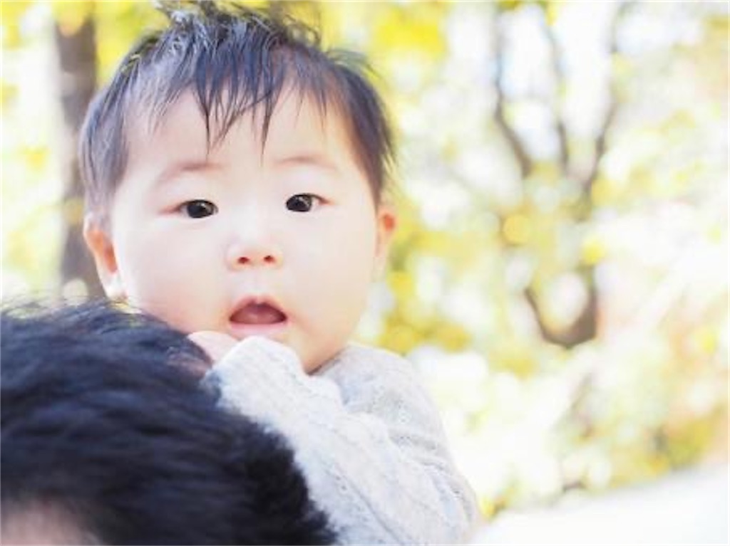 f:id:candyhimawari391:20260105183351j:image f:id:candyhimawari391:20260105183351j:image