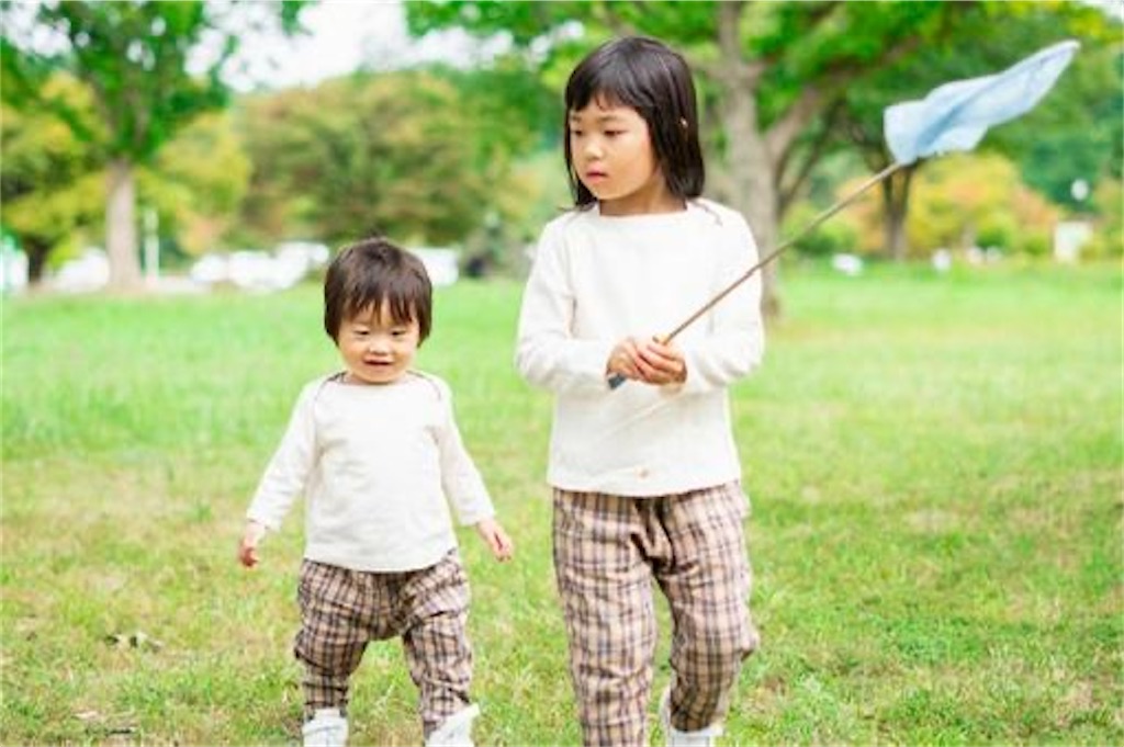 f:id:candyhimawari391:20260105183640j:image f:id:candyhimawari391:20260105183640j:image