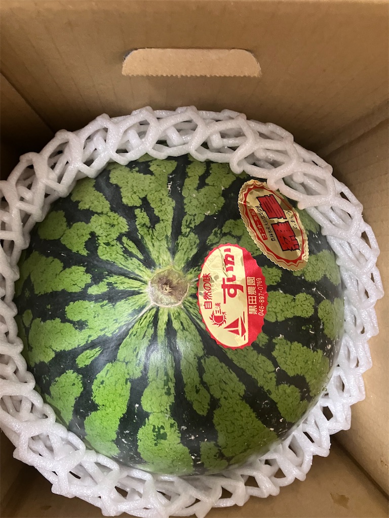 f:id:cheichirou:20250908065407j:image f:id:cheichirou:20250908065407j:image