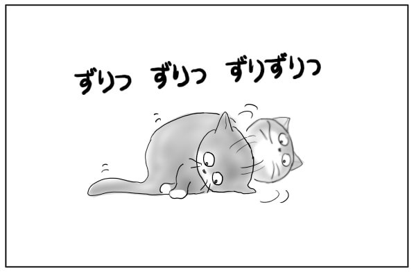 床に体をすりつける