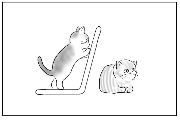 座椅子の上から