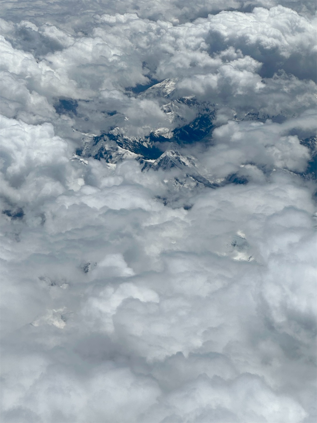 f:id:dailymusiclog:20230827160857j:image f:id:dailymusiclog:20230827160857j:image