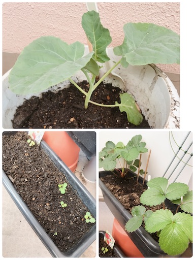 f:id:eieiou55:20211024012531j:image f:id:eieiou55:20211024012531j:image