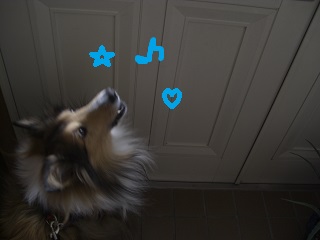 f:id:ema625:20190107151734j:plain