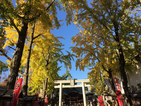 f:id:f-plus:20191127011936j:plain f:id:f-plus:20191127011936j:plain