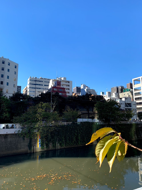 f:id:foxcafelate:20181115173318j:plain f:id:foxcafelate:20181115173318j:plain