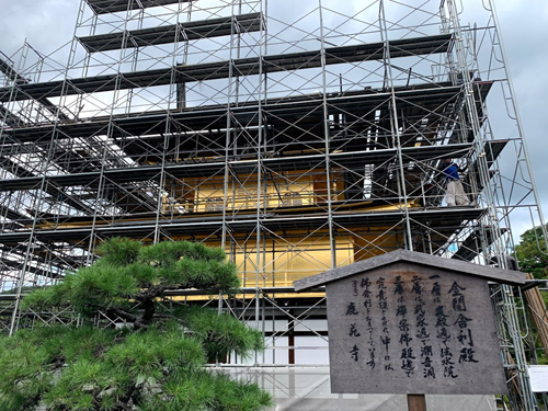 f:id:foxcafelate:20200919110158j:plain f:id:foxcafelate:20200919110158j:plain