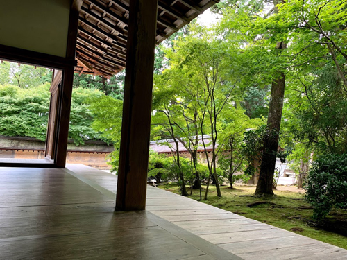 f:id:foxcafelate:20200919111249j:plain f:id:foxcafelate:20200919111249j:plain