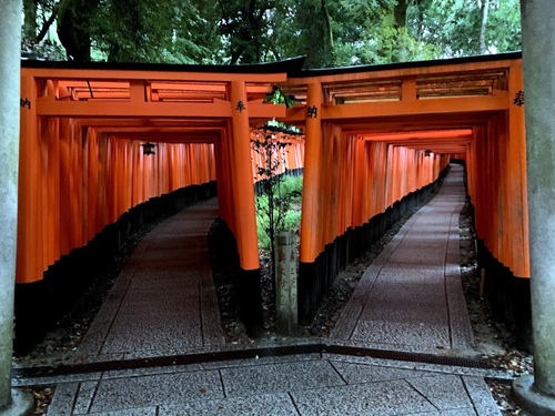 f:id:foxcafelate:20200919111856j:plain f:id:foxcafelate:20200919111856j:plain