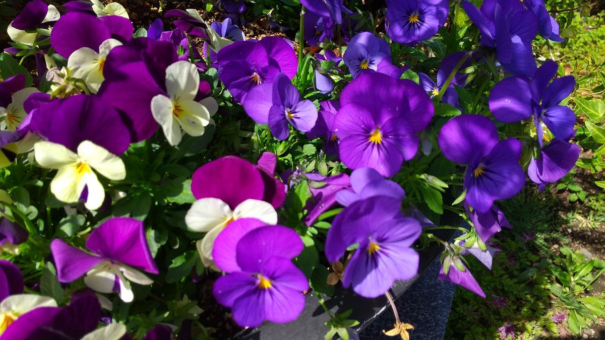 f:id:genta-san:20220406180346j:plain