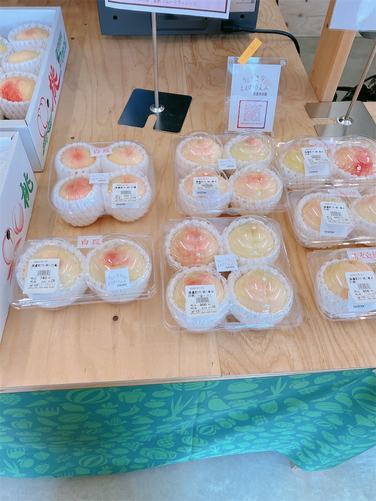 f:id:greatsusie:20250806164903j:image f:id:greatsusie:20250806164903j:image