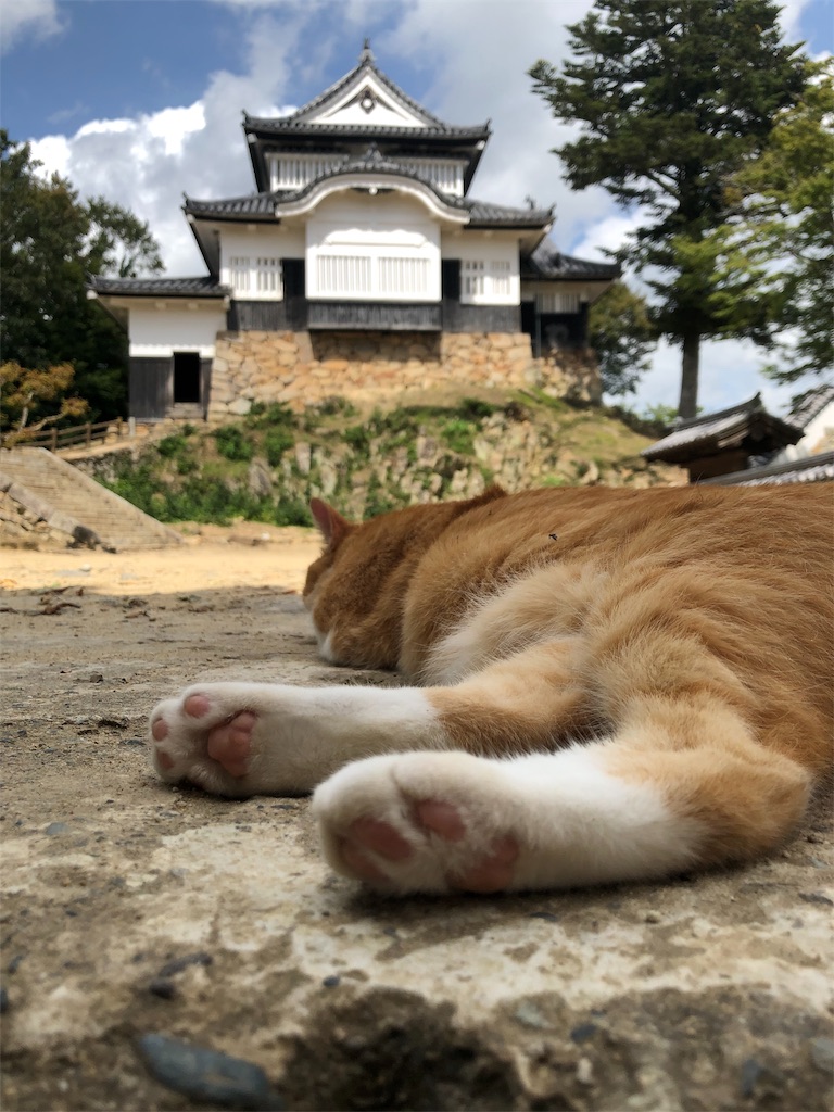 f:id:green3lk:20190909074921j:image f:id:green3lk:20190909074921j:image