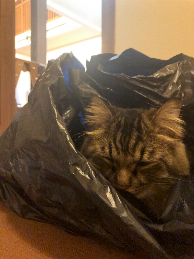 f:id:green3lk:20190914092904j:image f:id:green3lk:20190914092904j:image