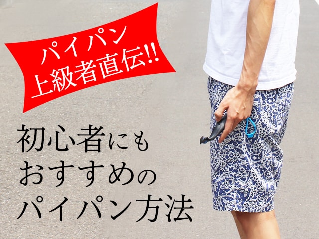 f:id:hamalogchan:20170516143054j:plain f:id:hamalogchan:20170516143054j:plain