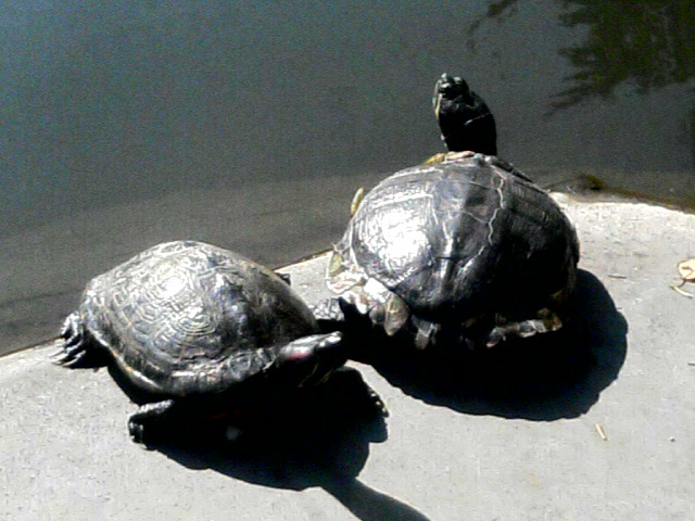 f:id:happyrabbit797:20191030095442j:plain f:id:happyrabbit797:20191030095442j:plain