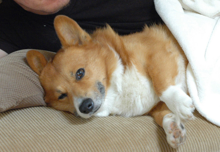 f:id:hatenacinnamon:20070904040920:image f:id:hatenacinnamon:20070904040920:image