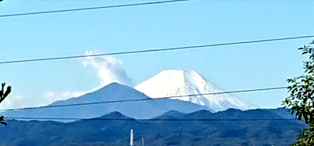 f:id:hibitanoshime:20211111144604j:plain