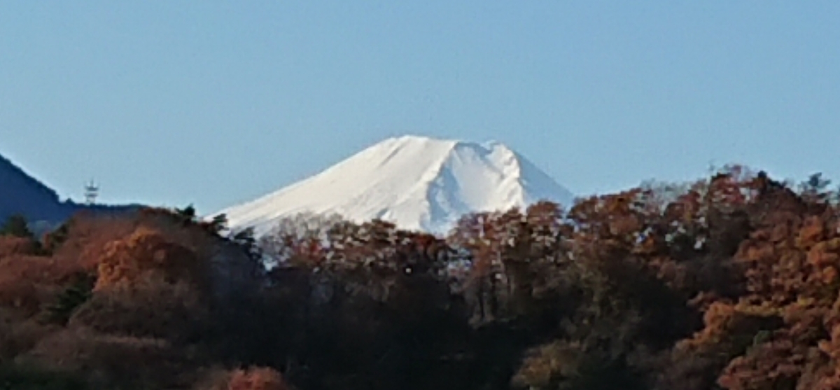 f:id:hibitanoshime:20211126175027j:plain