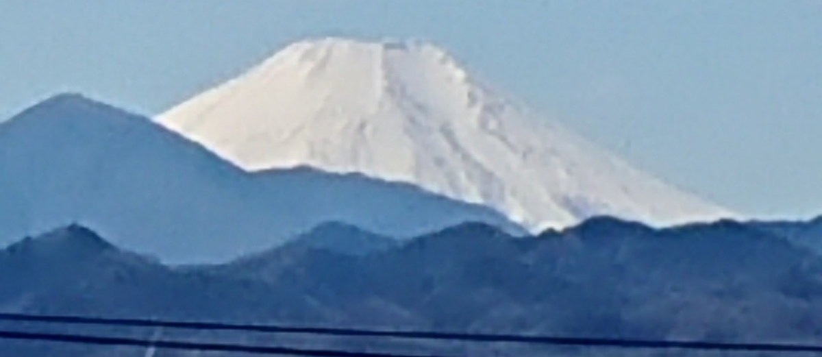 f:id:hibitanoshime:20220223184545j:plain