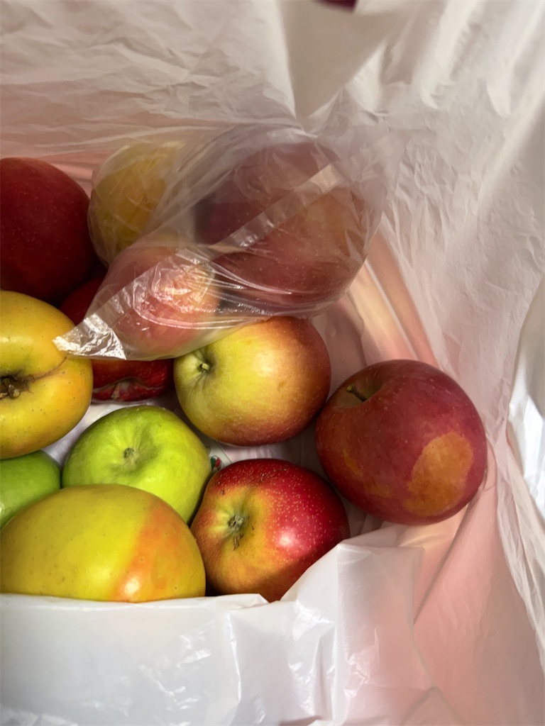 f:id:hiroyuta32:20251202102221j:image f:id:hiroyuta32:20251202102221j:image