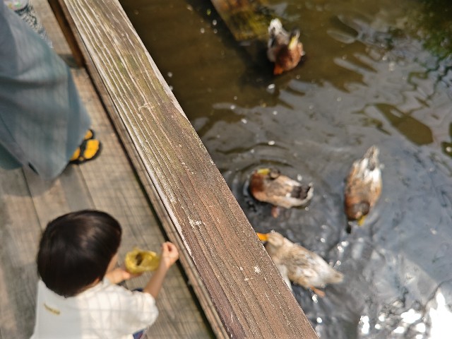 f:id:hoimicle:20250908111050j:image f:id:hoimicle:20250908111050j:image