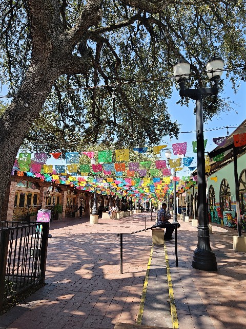 f:id:hoimicle:20251103192823j:image f:id:hoimicle:20251103192823j:image